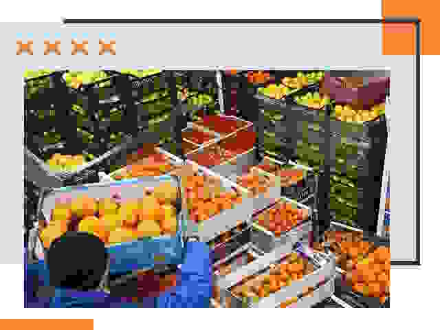 Перевозка скоропортящихся продуктов в Ахтубинске